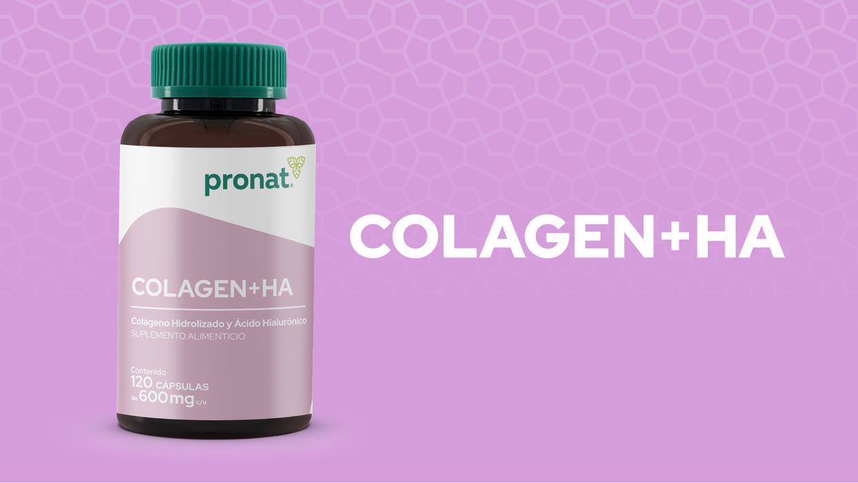 Colagen+HA 120 cápsulas - Pronat