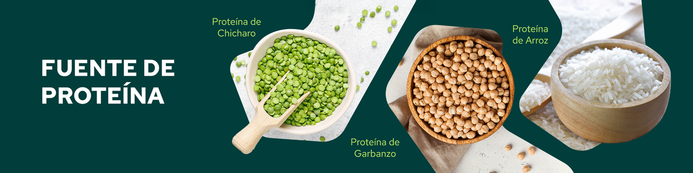Proteína vegetal