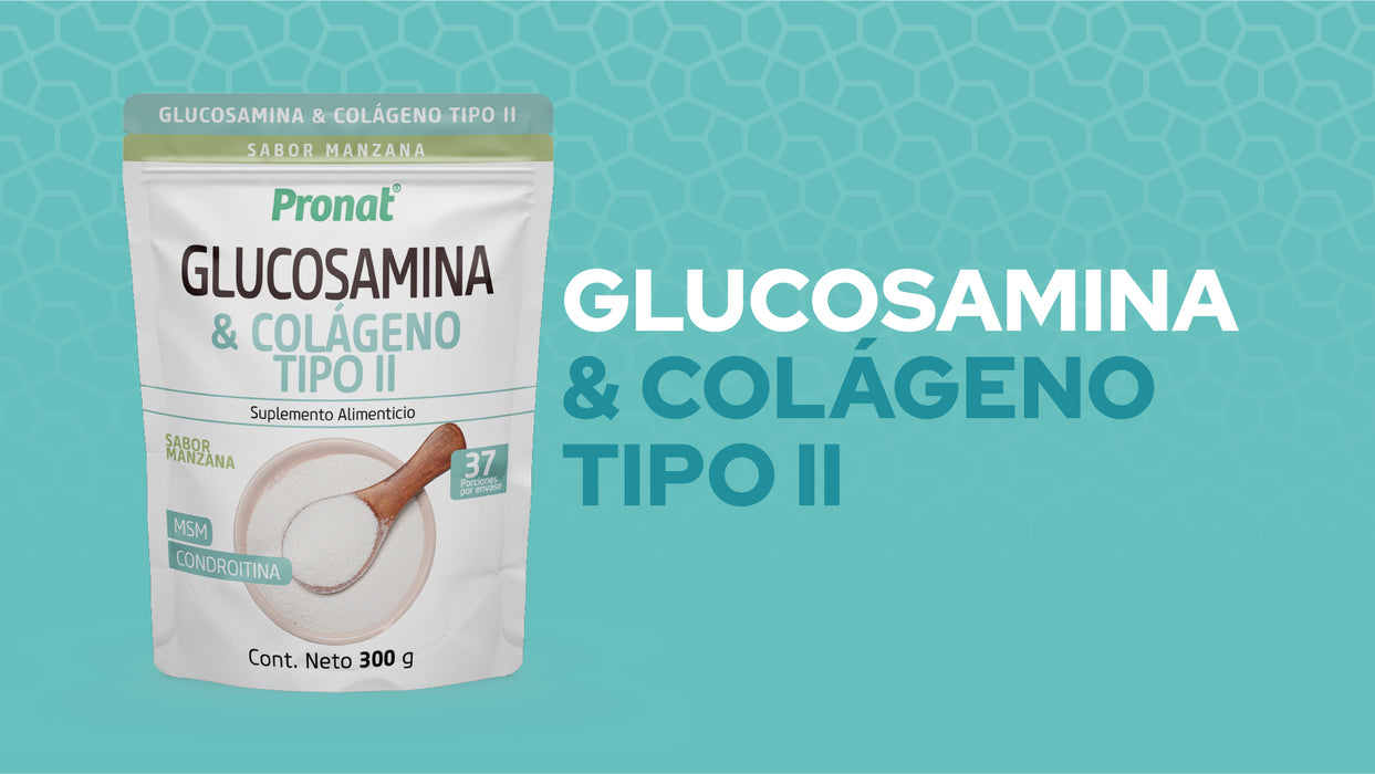 Glucosamina & Colágeno Tipo II polvo 300g