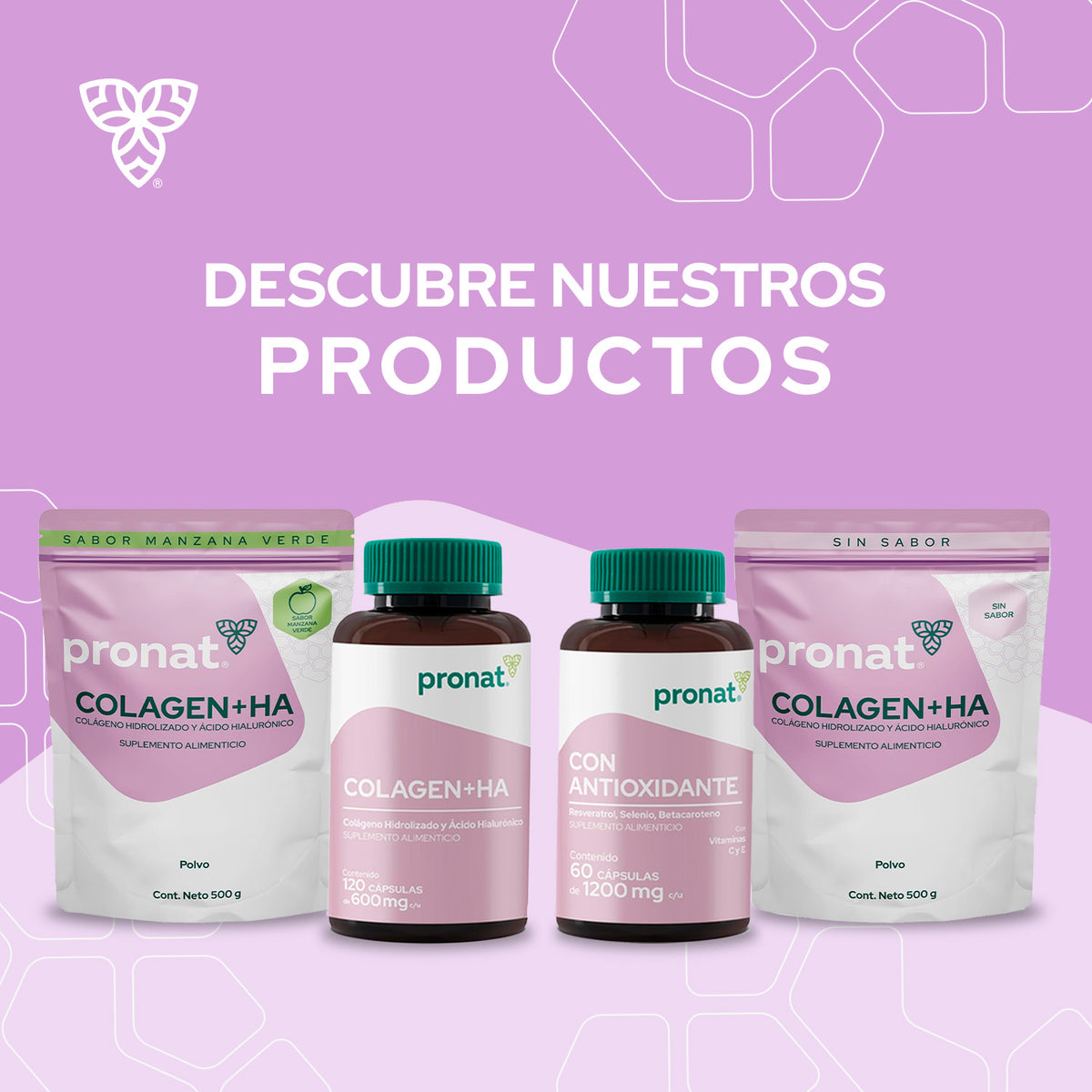 Colagen+HA 120 cápsulas - Pronat