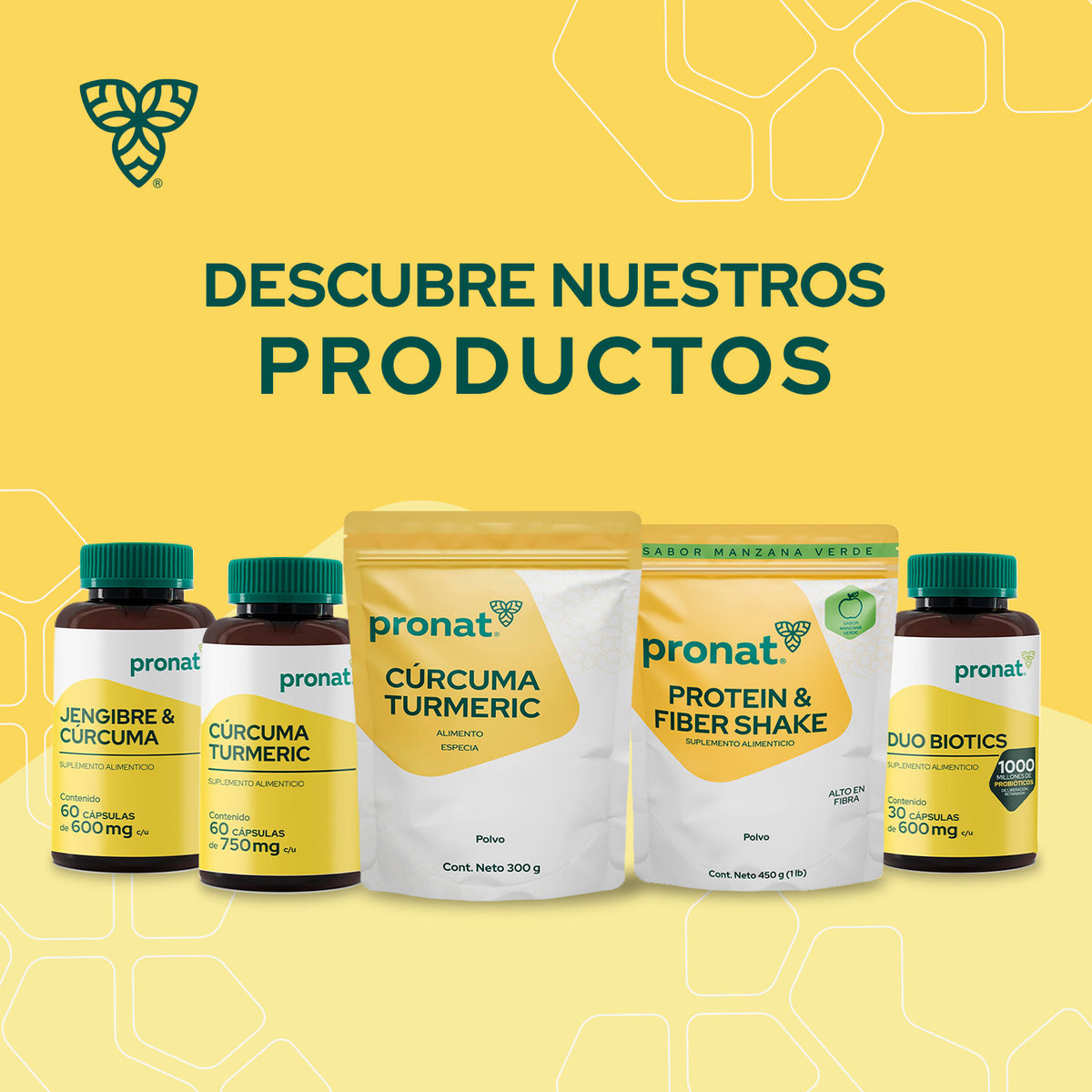 Cúrcuma Turmeric Polvo 300g - Pronat
