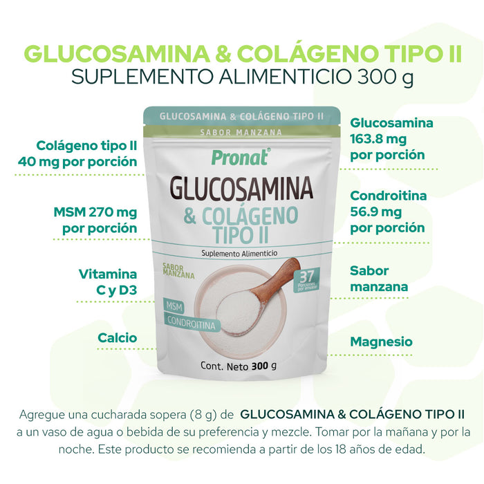 Glucosamina & Colágeno Tipo II polvo 300g