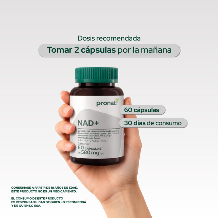 NAD+ Suplemento Alimenticio 60 Cápsulas Antioxidante